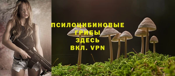 трава Верхний Тагил
