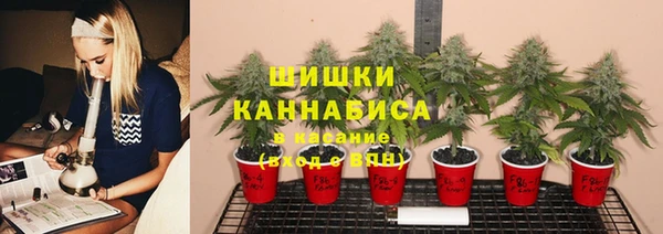 дмт Володарск